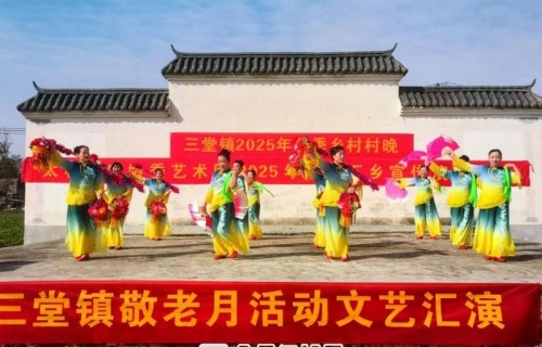 太和县老龄委艺术团2025年文艺下乡演出走进三堂镇